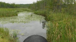 imageforNewsletterpart imageforNewsletterpart