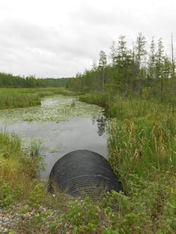 1654878013841 Imagefornewsletterpart 1654878013841 Imagefornewsletterpart