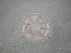 Hickory%20Picture%203 Hickory%20Picture%203