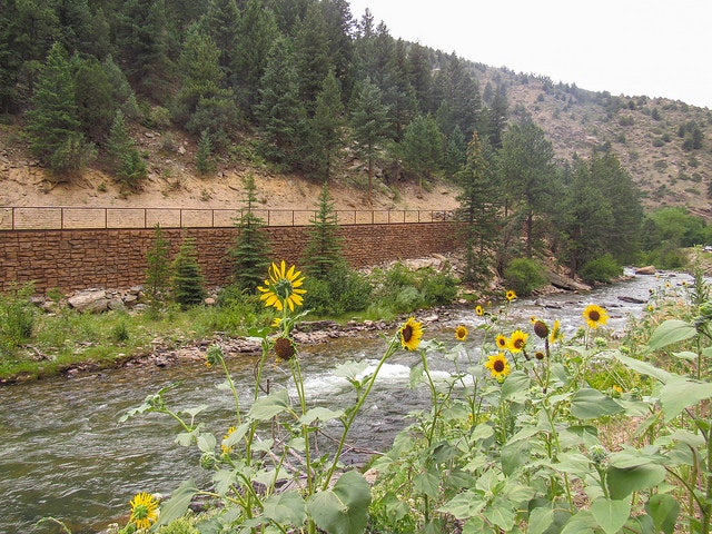 30390879255_769ec04344_z