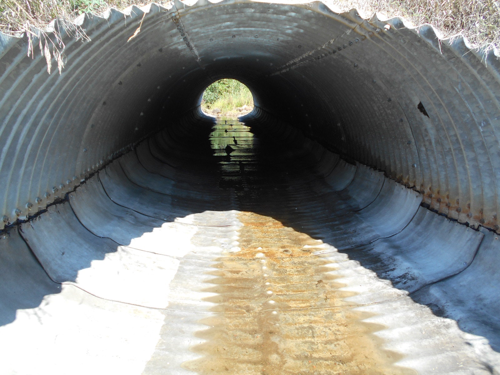 1654878214464 Photo 5 M20