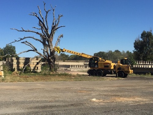 1654878229866 Img 0910