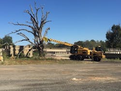 1654878229866 Img 0910 1654878229866 Img 0910