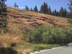 1654878263651 Failure 0 1654878263651 Failure 0