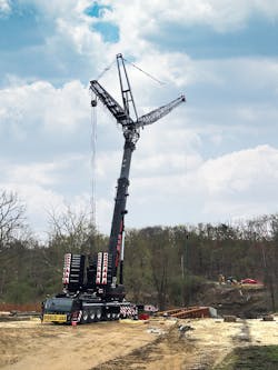 1654878271917 All Cow 1654878271917 All Cow