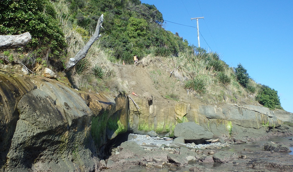 1654878282303 Graphic 1