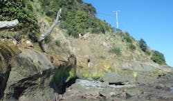 1654878282303 Graphic 1 1654878282303 Graphic 1