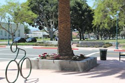 1654878303818 Img 0345 1654878303818 Img 0345