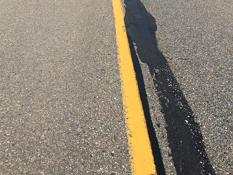 Masitc%20One%20%E2%80%94%20Taken%20in%202020%20following%20two%20full%20winters