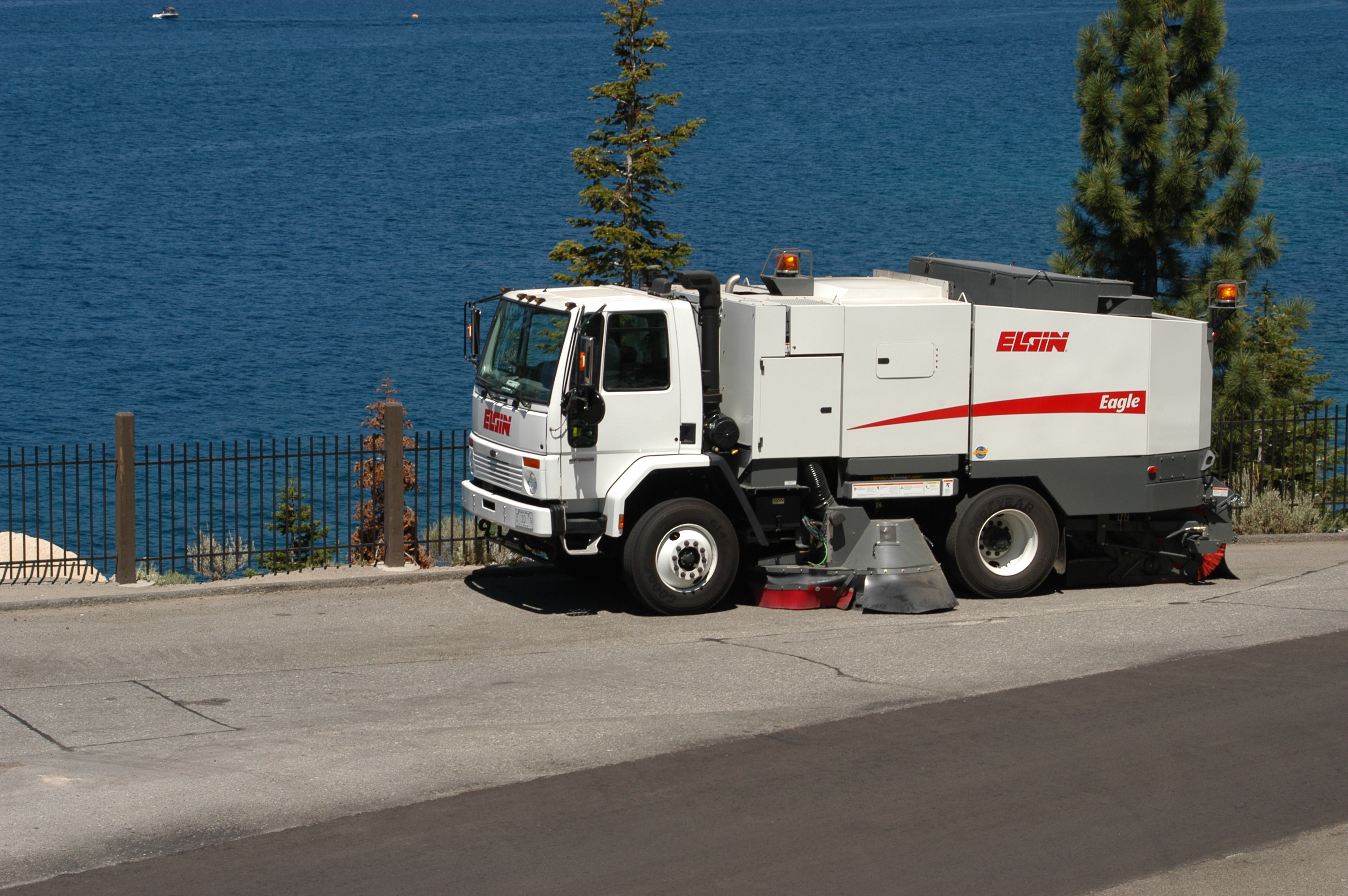 1655150069739 Elgin Eagle