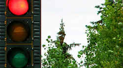 traffic signals2_final