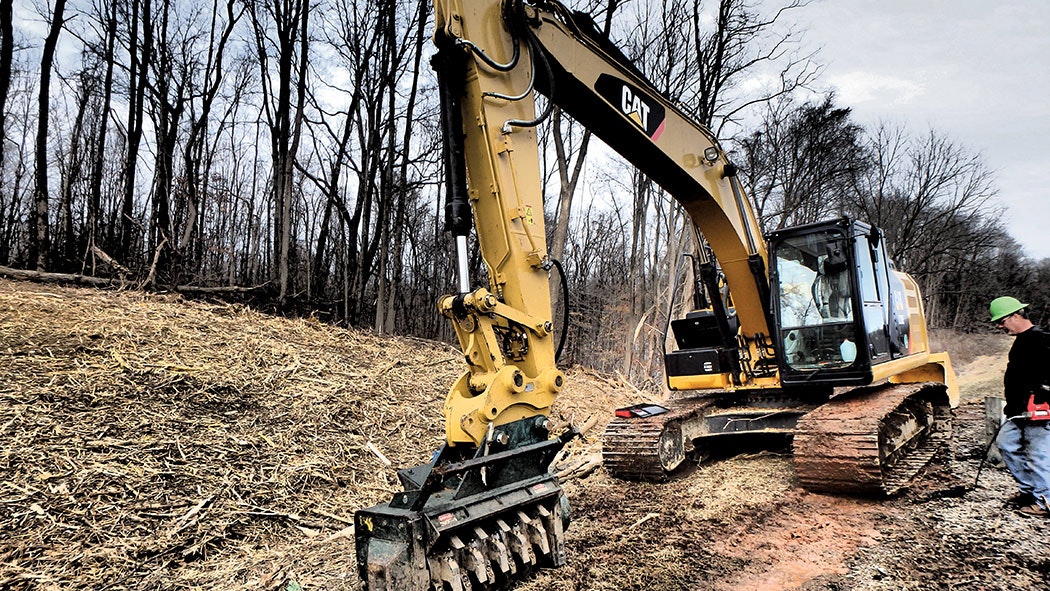 Photo-6-Brontosaurus