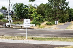 1655174959753 Conifer 1655174959753 Conifer