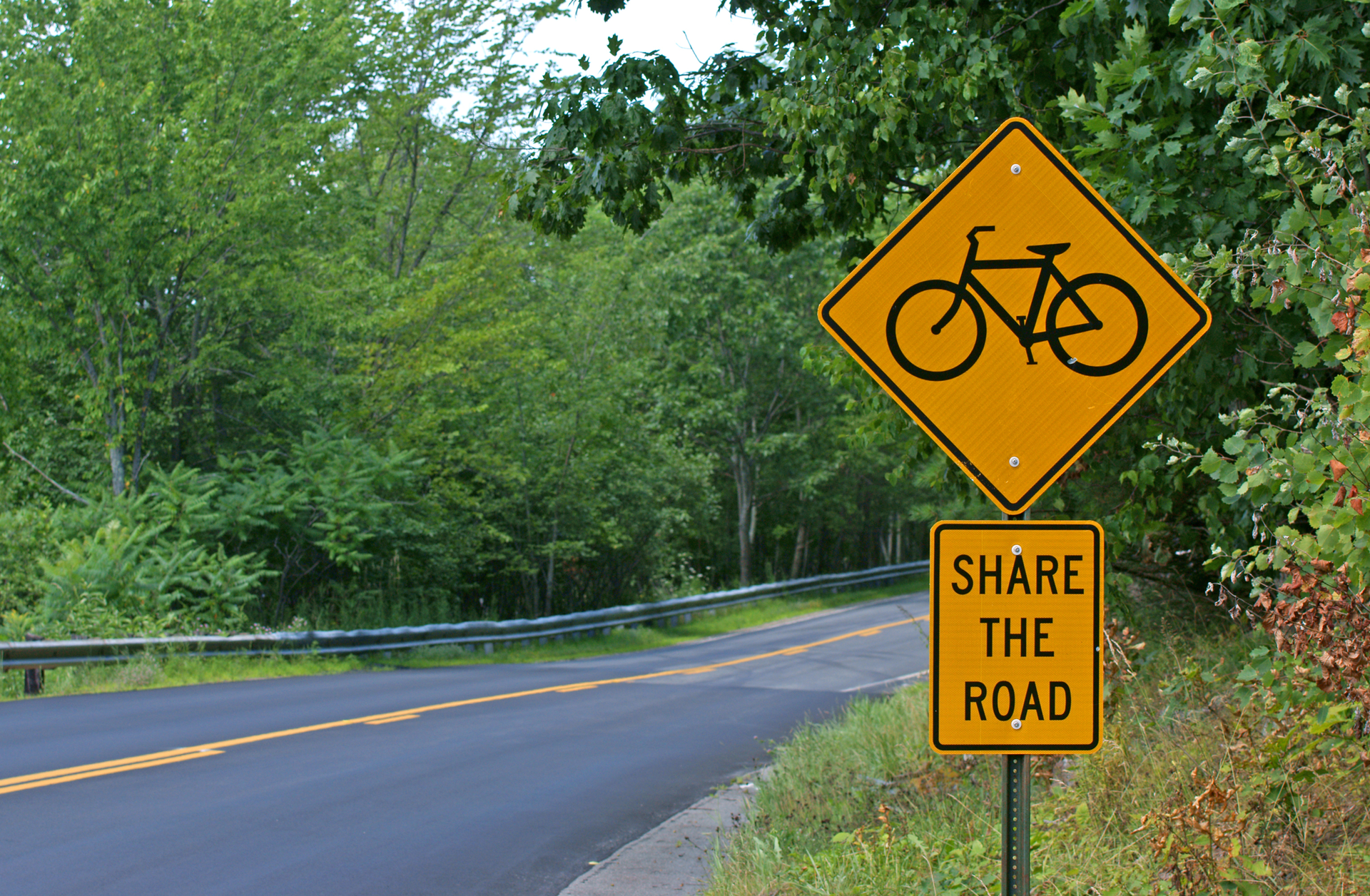 Bicycle Road Sign Bert Folsom