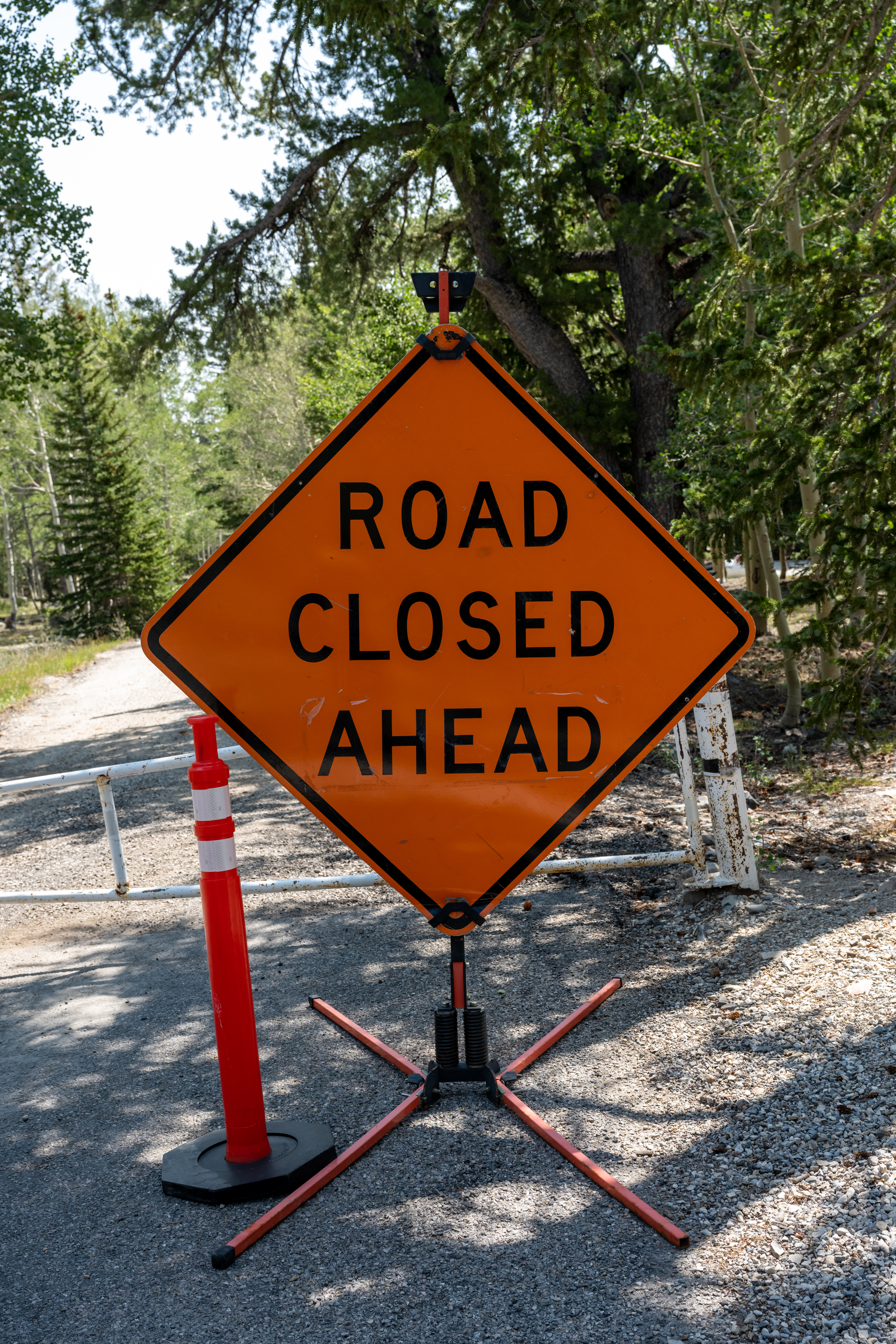 Dreamstime Xxl 218163985 6408a4e145bde