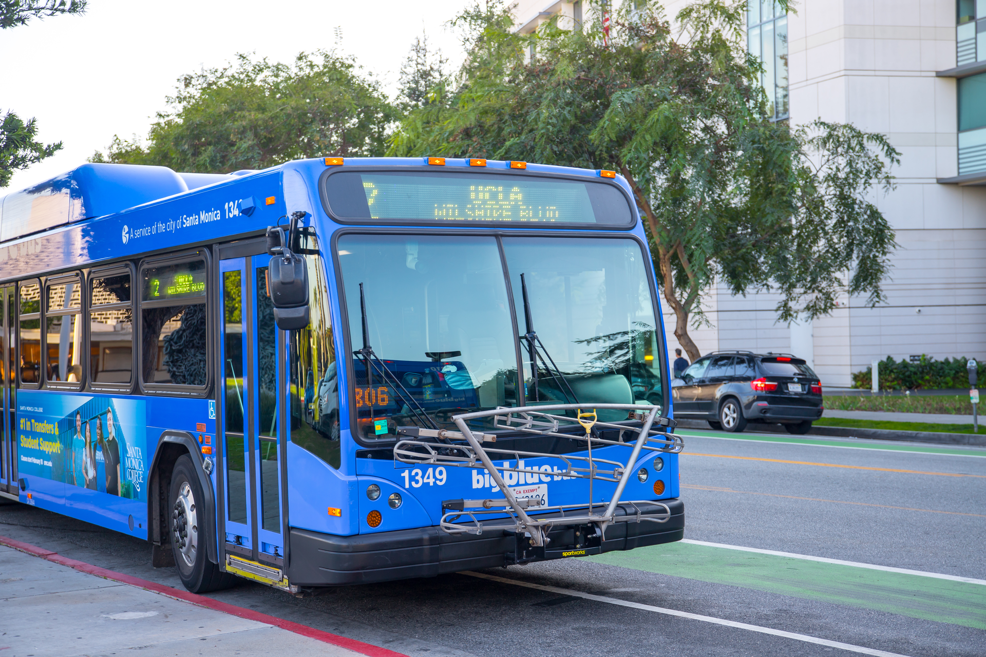 Dreamstime Xxl 172484392 643963bdaf6bd