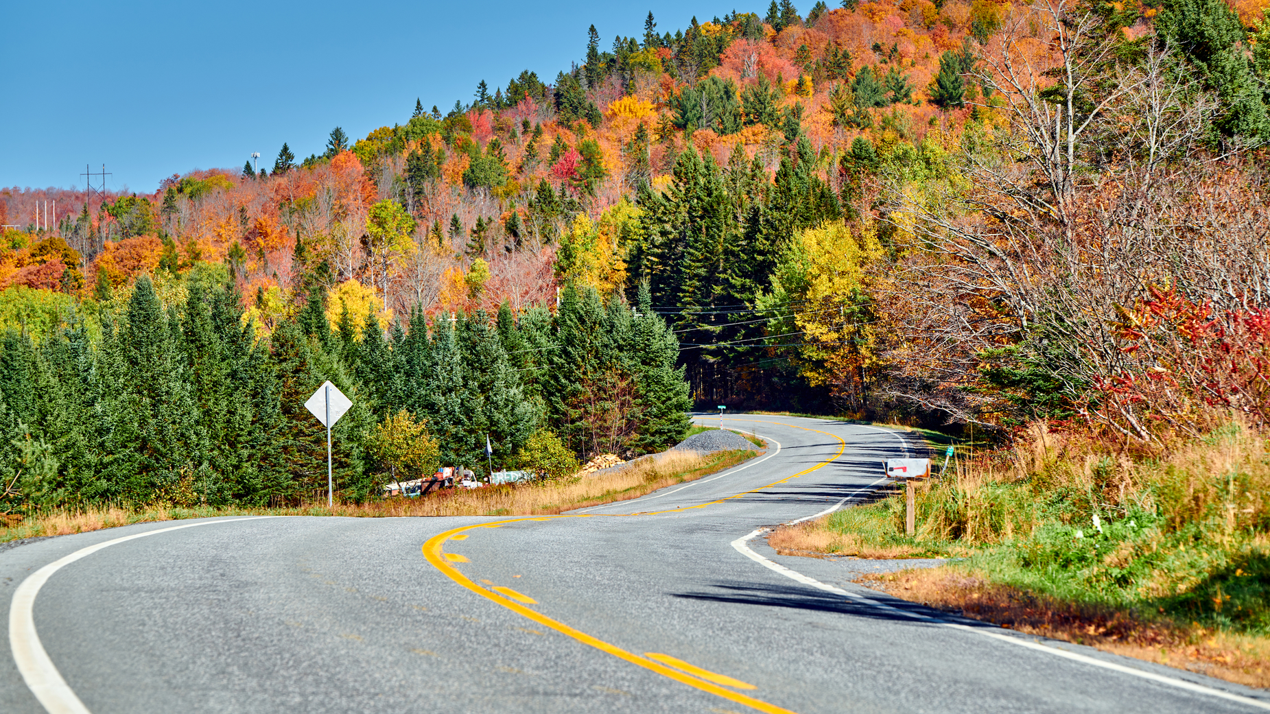 Dreamstime L 152000734 64b557633cae5