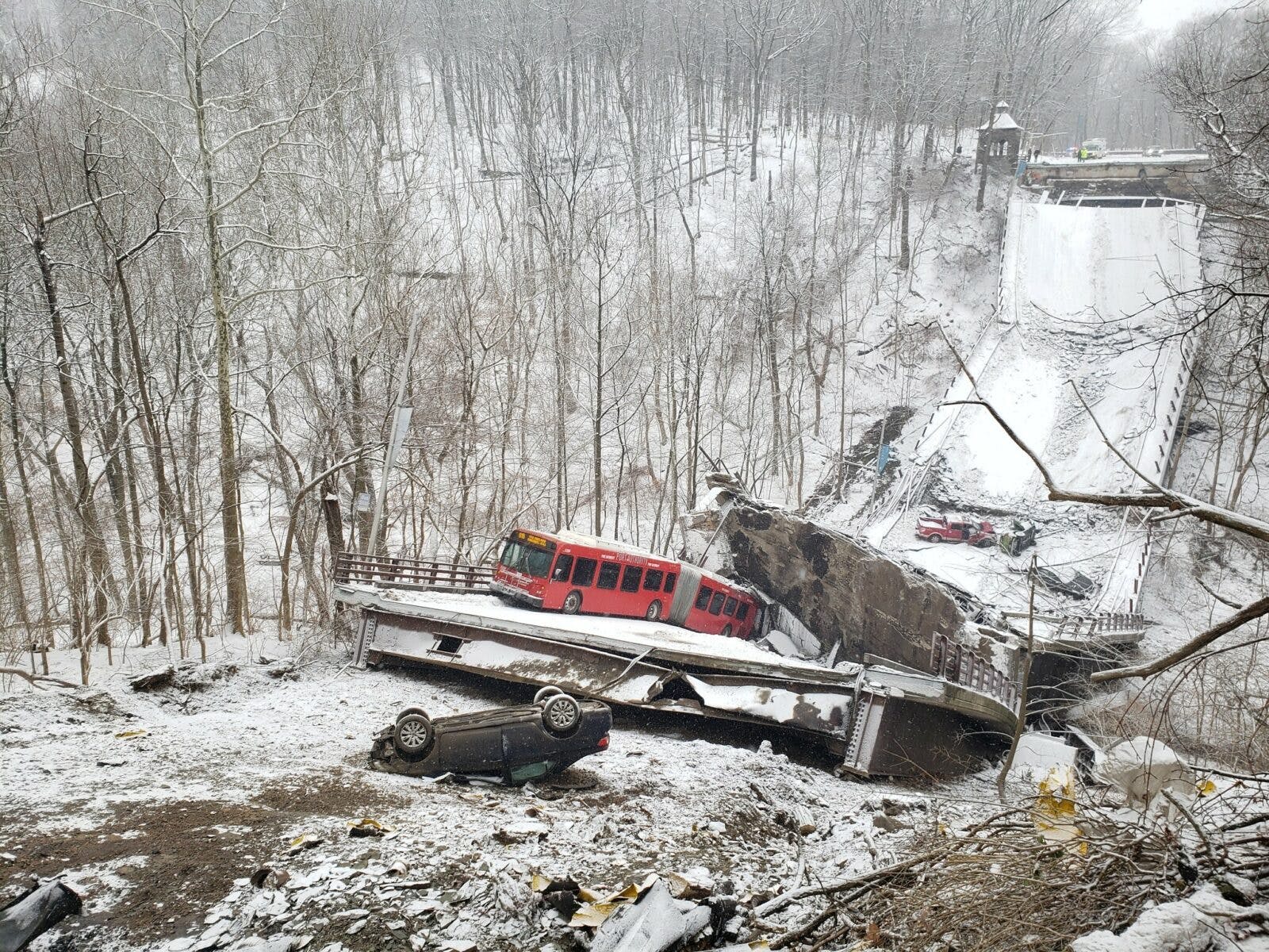 659c0ff7812bf9001d202b1d Fernhollow