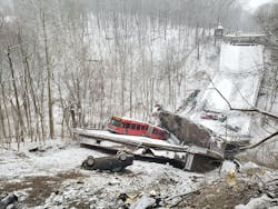 659c0ff7812bf9001d202b1d Fernhollow 659c0ff7812bf9001d202b1d Fernhollow