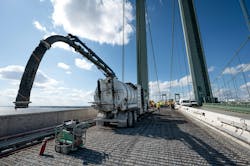 chryso109231376 chryso109231376