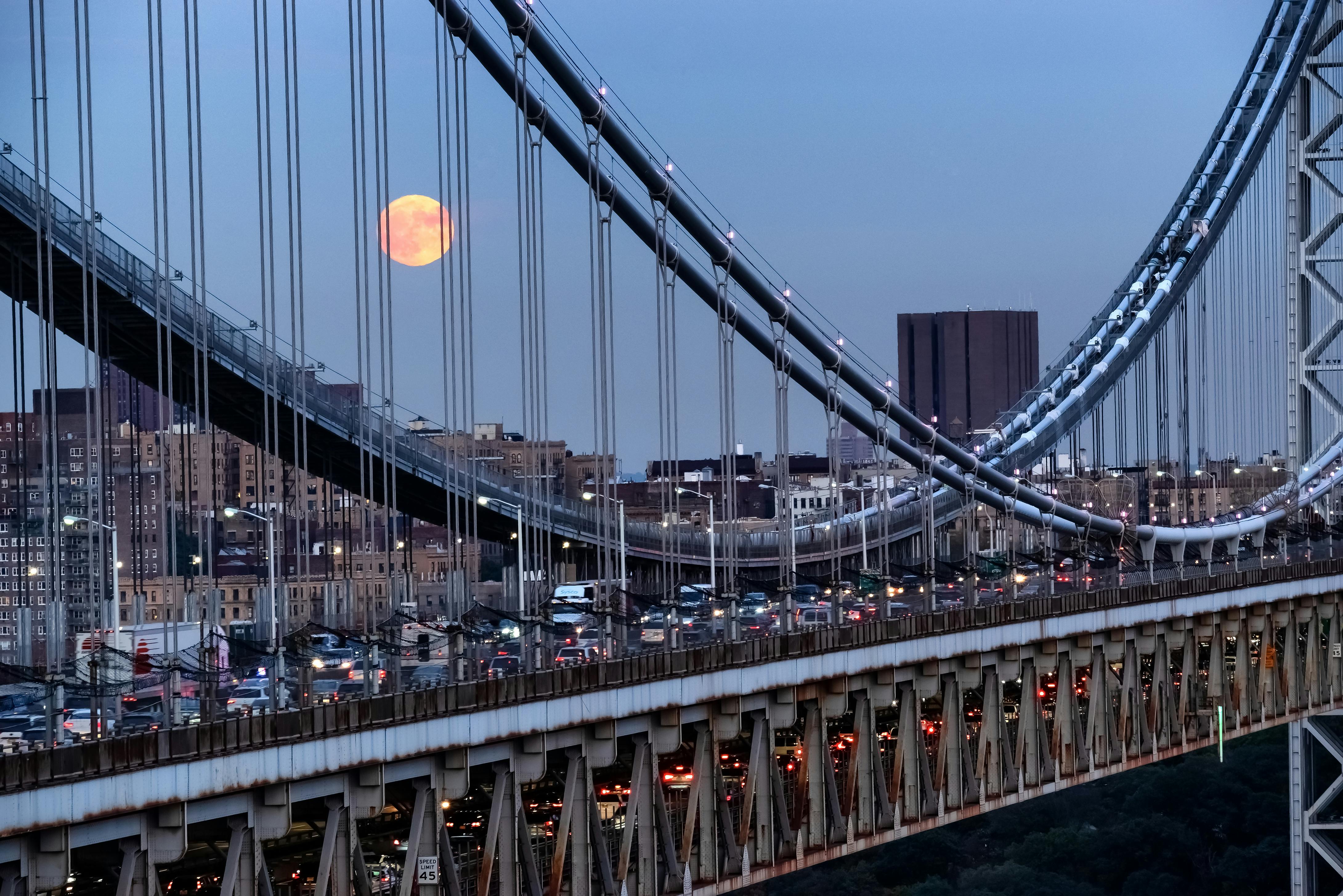 6633a93fcf3b6100086766d7 Dreamstime Xxl 173375234