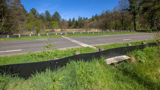 Wildlife crossing