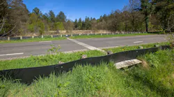 Wildlife crossing