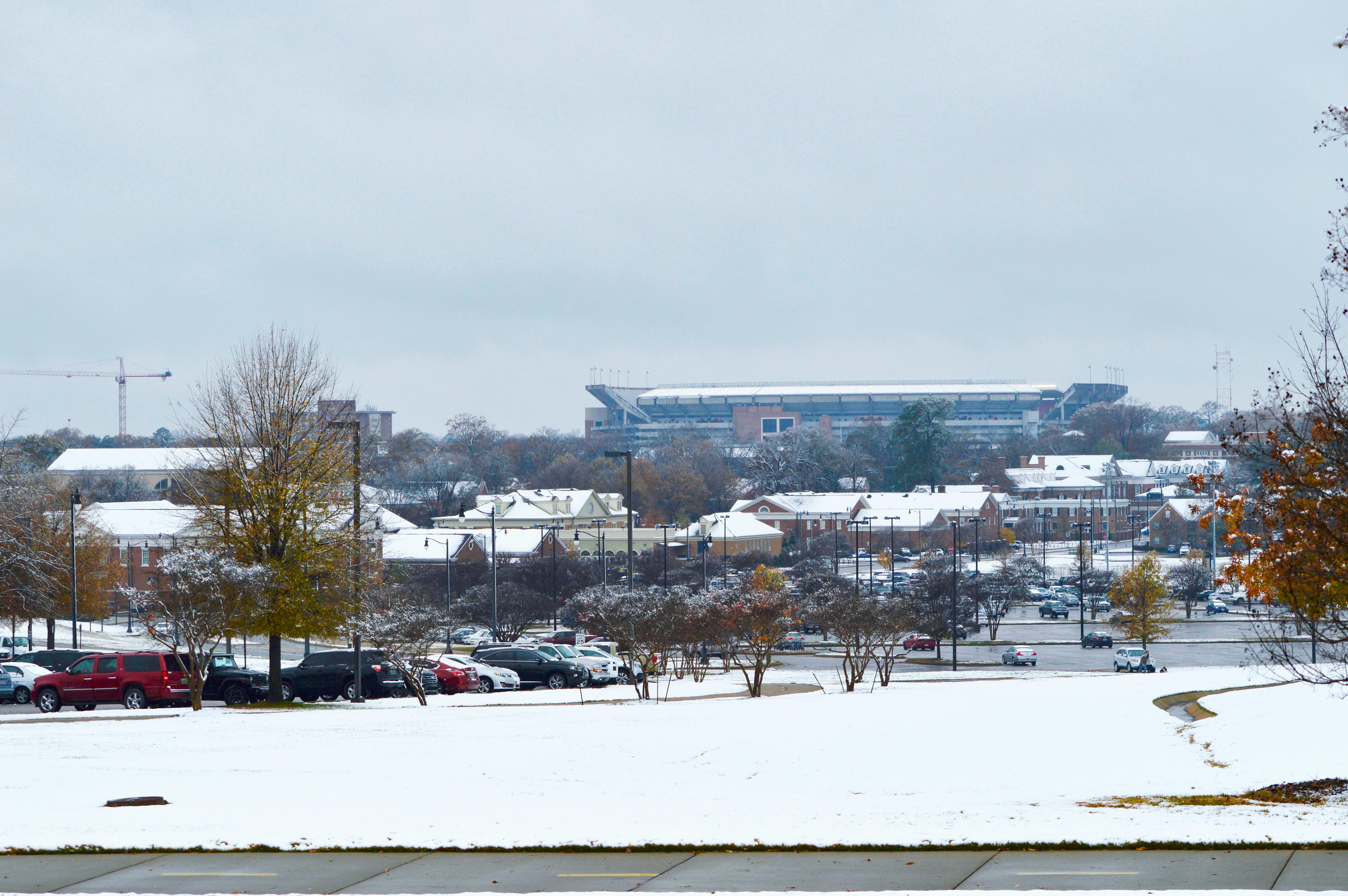 credit_tiffany_marie_green_shutterstock_771551194