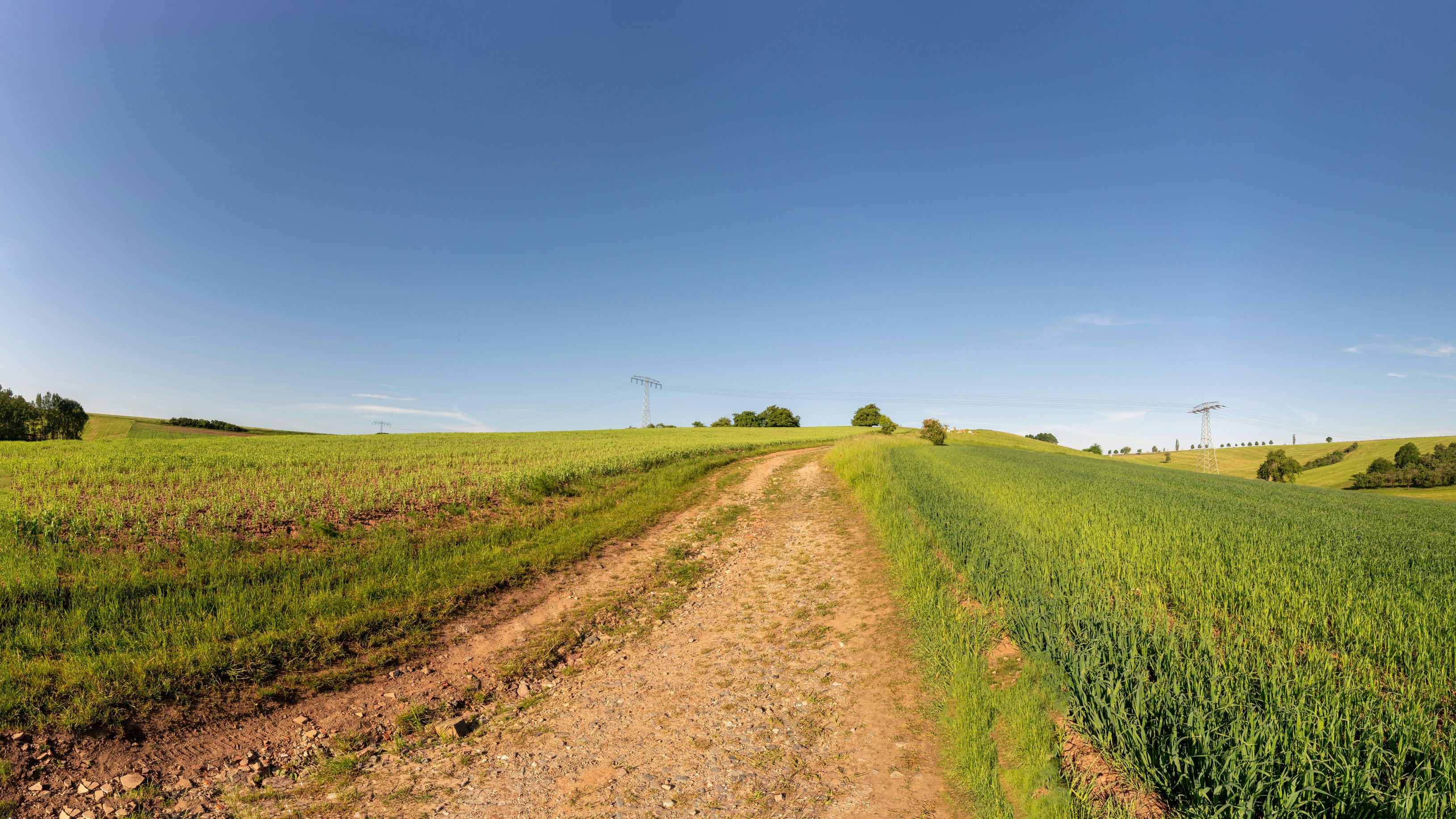 Kansas country road