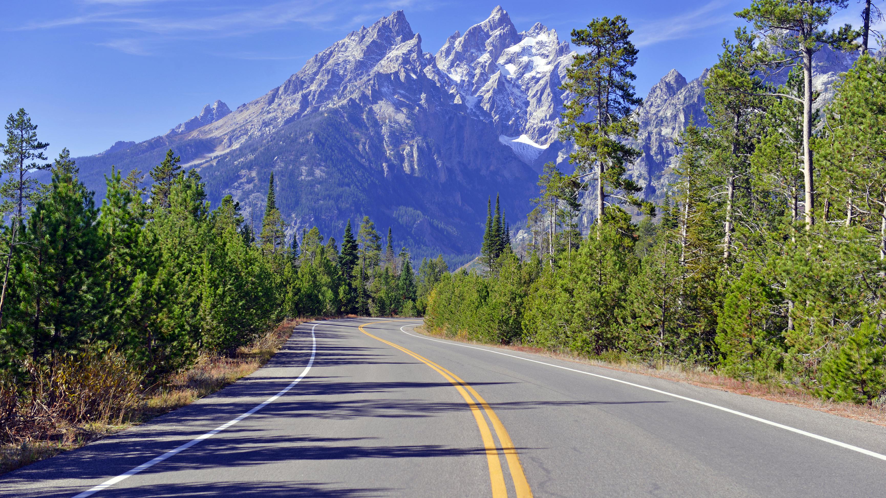 68308b2dd9ed9a3b890af352 Dreamstime Xl 62013092