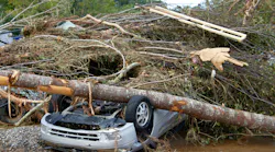 A car crushed under a tree during Hurricane Helene.