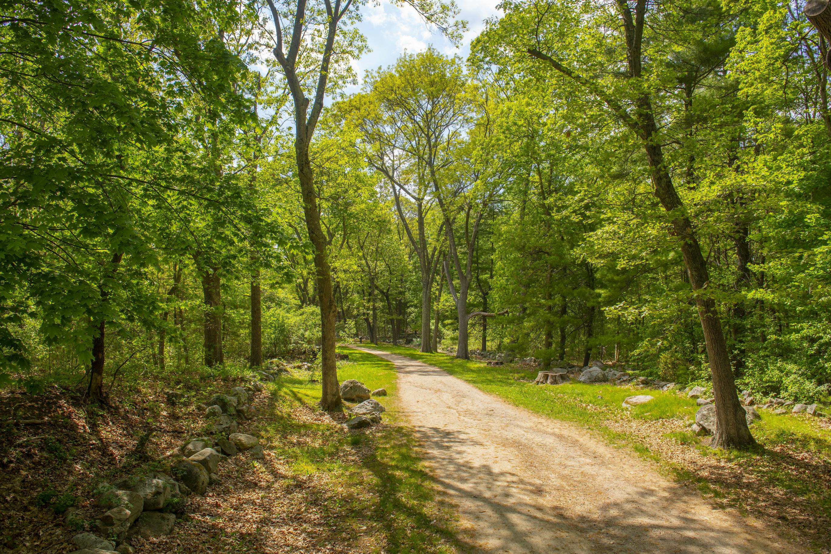 Battle Road Trail in Minute Man National Historical Park, Lincoln, Massachusetts.