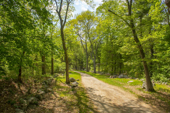 Battle Road Trail in Minute Man National Historical Park, Lincoln, Massachusetts.