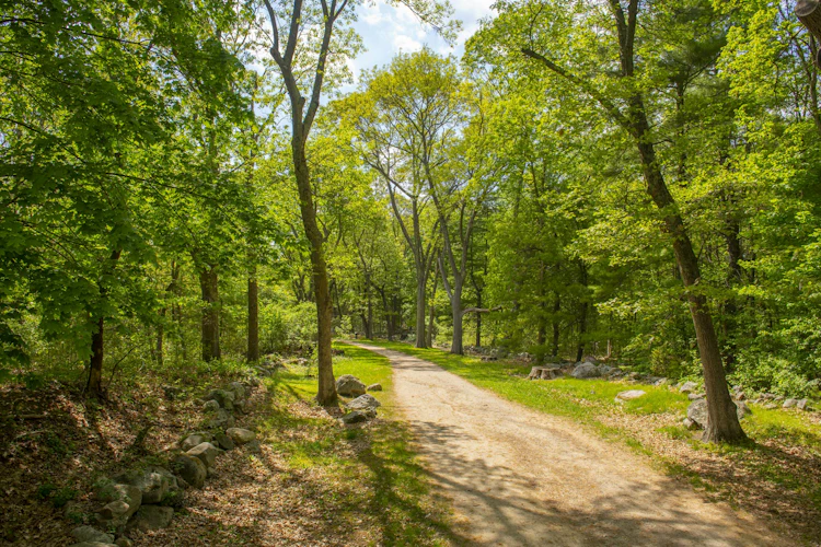 Battle Road Trail in Minute Man National Historical Park, Lincoln, Massachusetts.