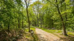 Battle Road Trail in Minute Man National Historical Park, Lincoln, Massachusetts.
