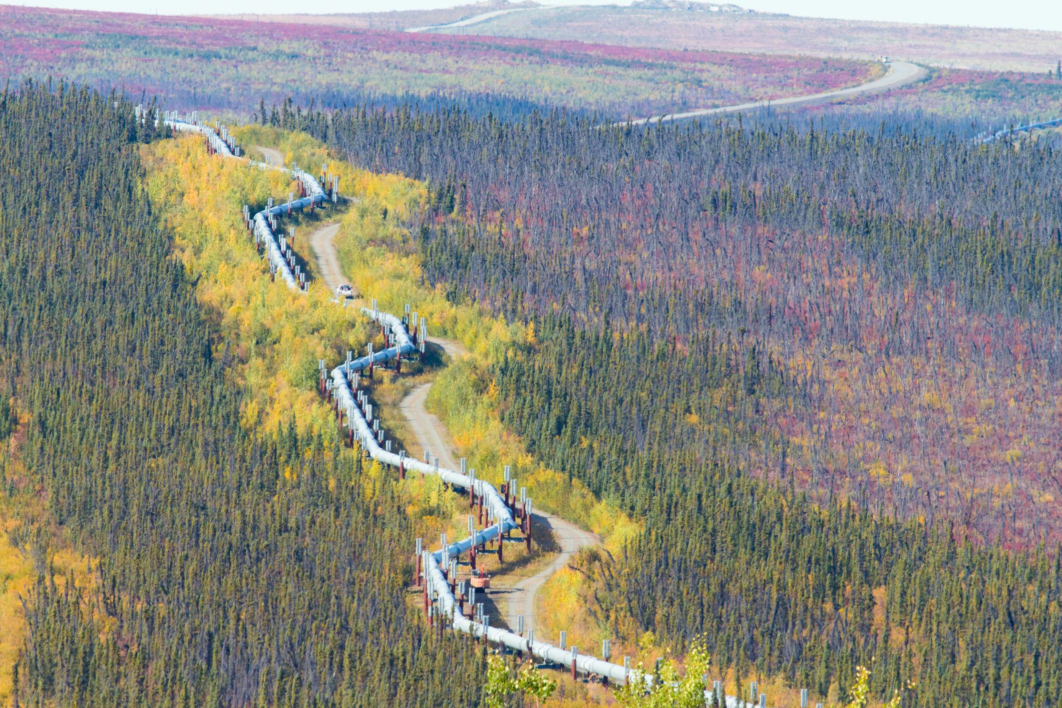 The Trans-Alaska Pipeline running along the Dalton Highway in Alaska.