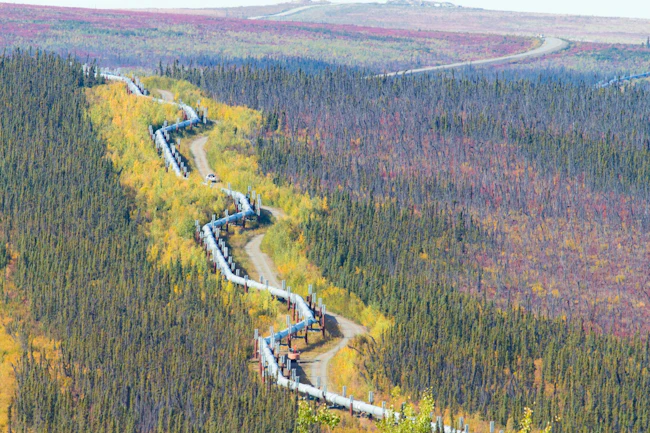 The Trans-Alaska Pipeline running along the Dalton Highway in Alaska.