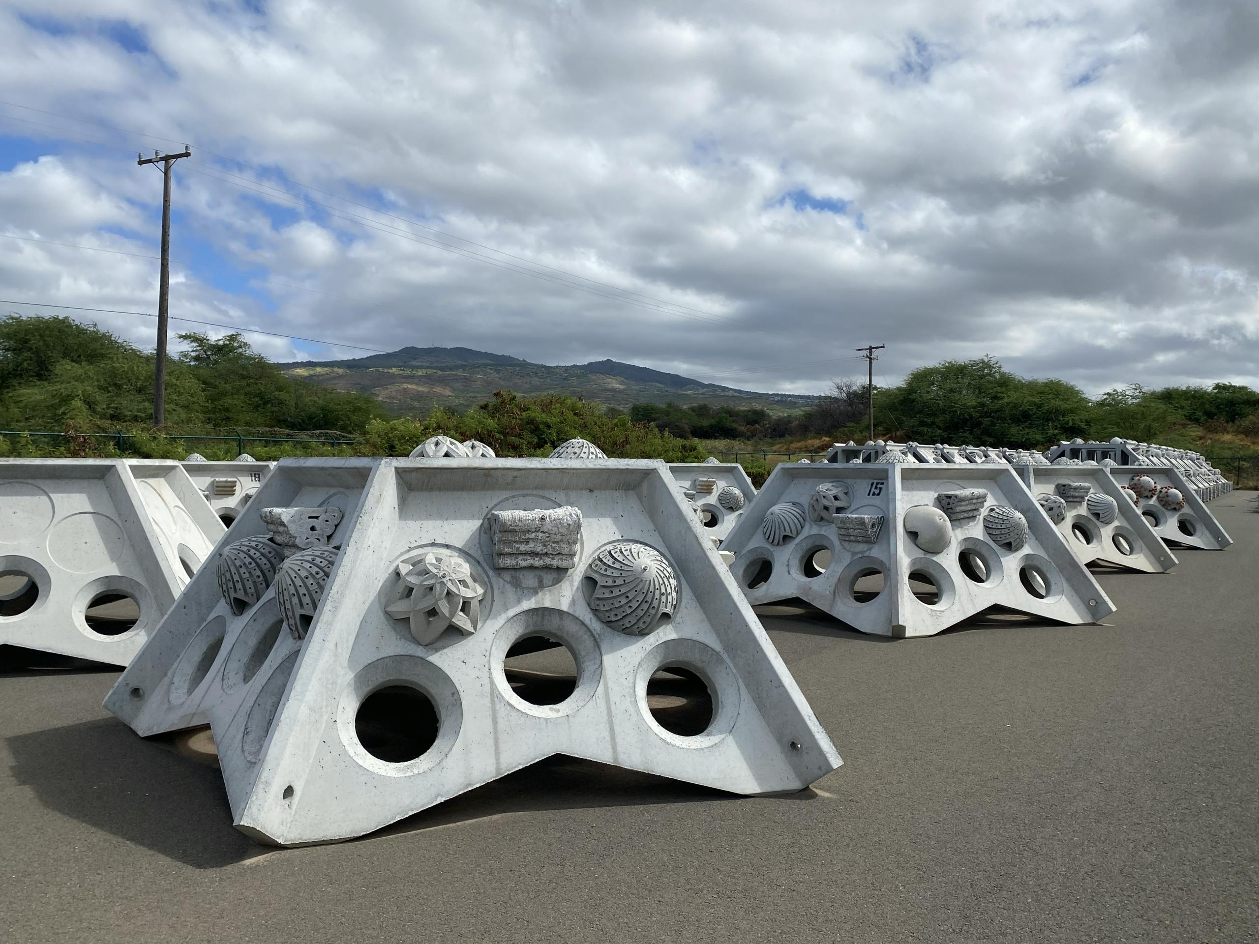 Hawaii's hybrid reef systems