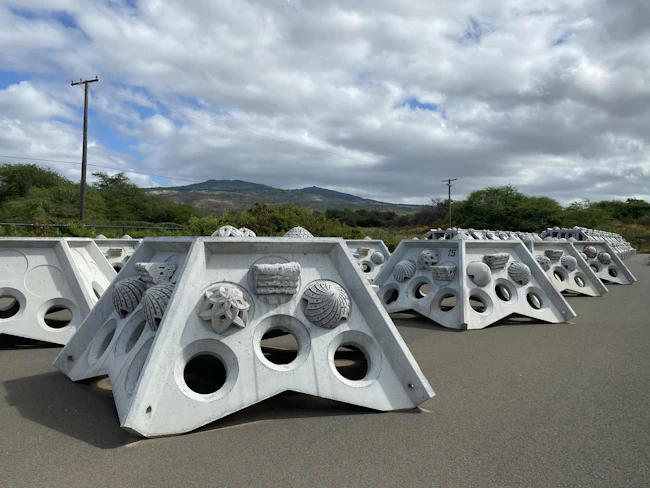 Hawaii's hybrid reef systems
