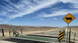 A cattle guard in a rural area of California.