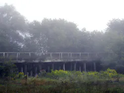 A majority of crybaby bridges are wooden bridges in wooded, rural areas of the country.