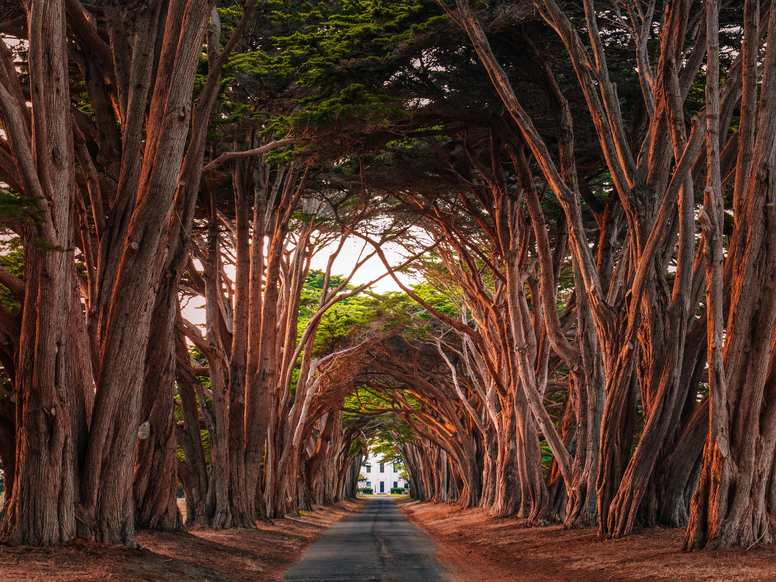 Stock photo of a spooky road